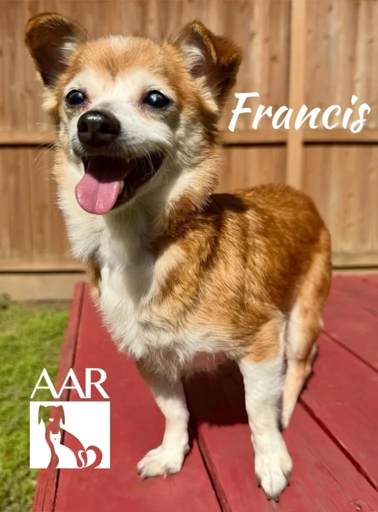 Francis` thumbnail 2