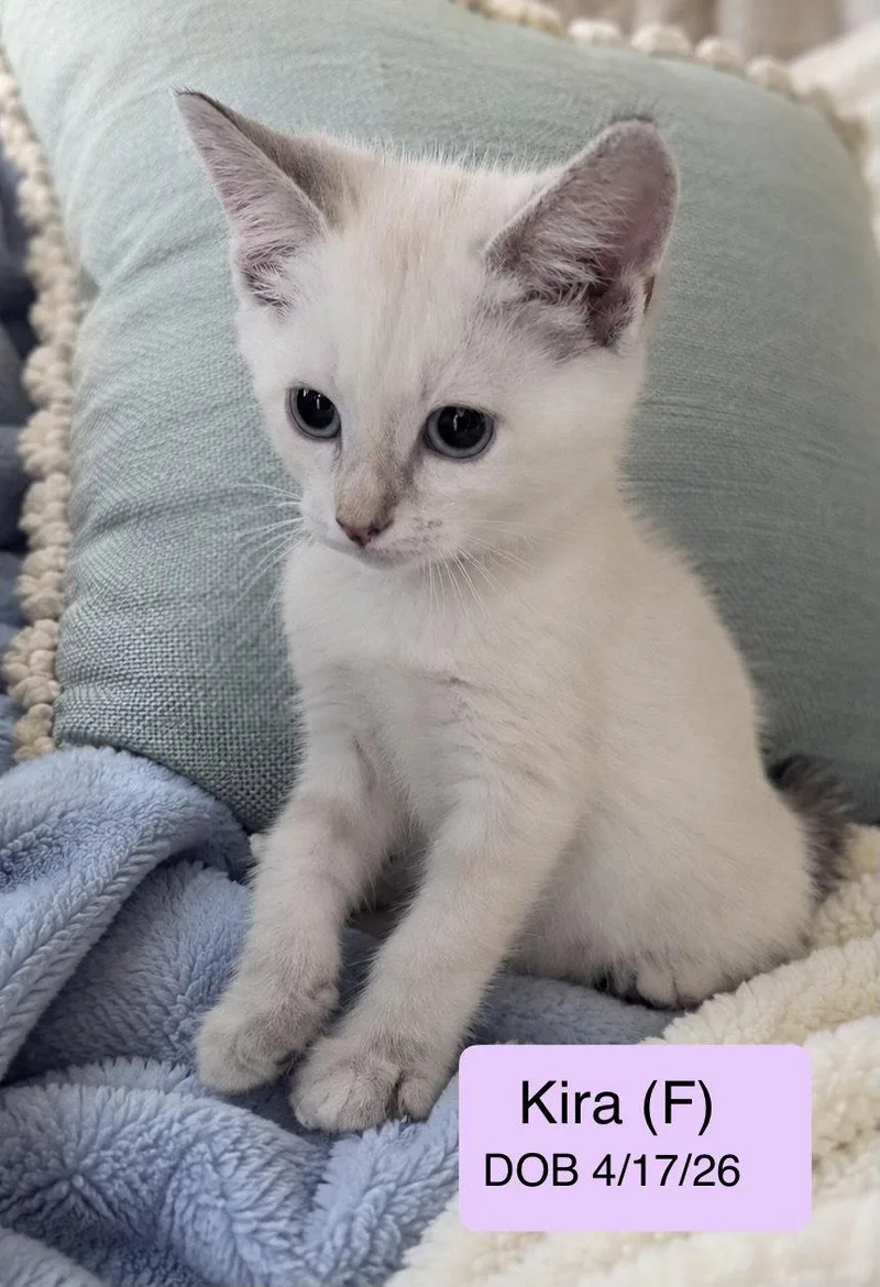 Kira