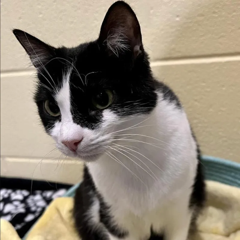 Marion Ravenwood thumbnail 2
