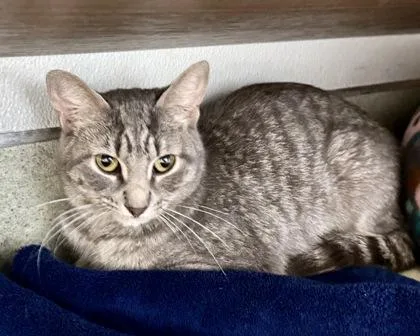 Edwina Sharma thumbnail 2