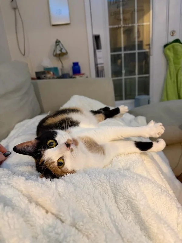Sally thumbnail 3