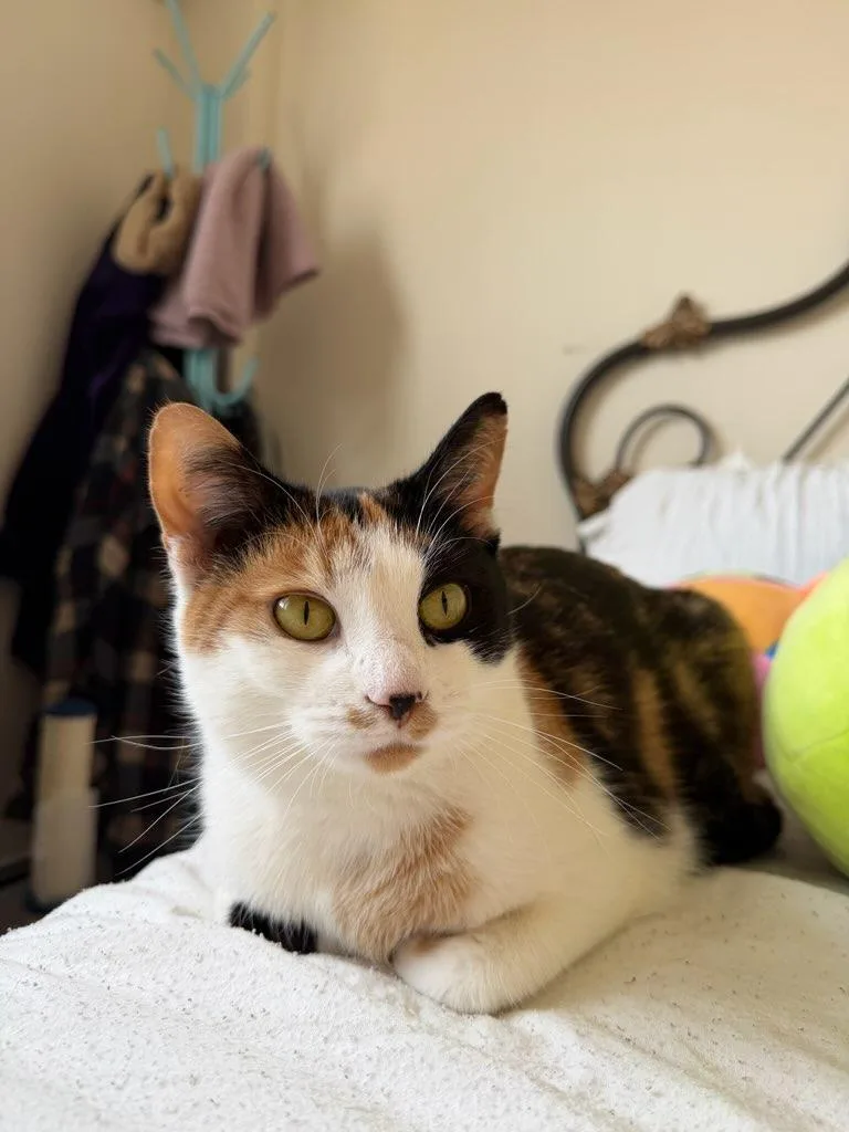 Sally thumbnail 4