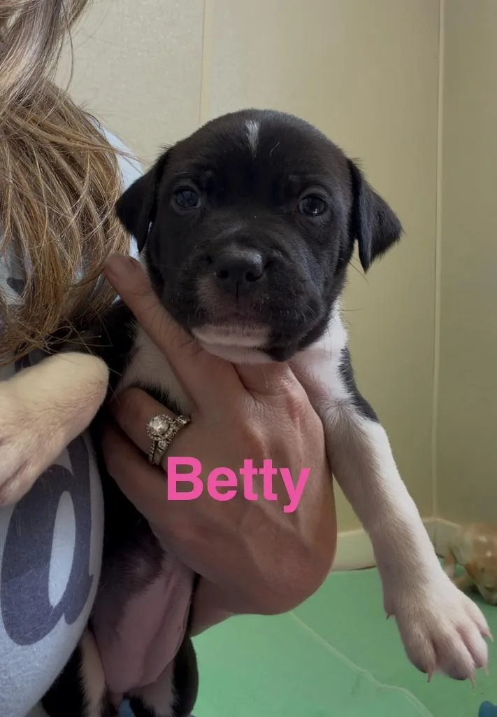 Betty thumbnail 3