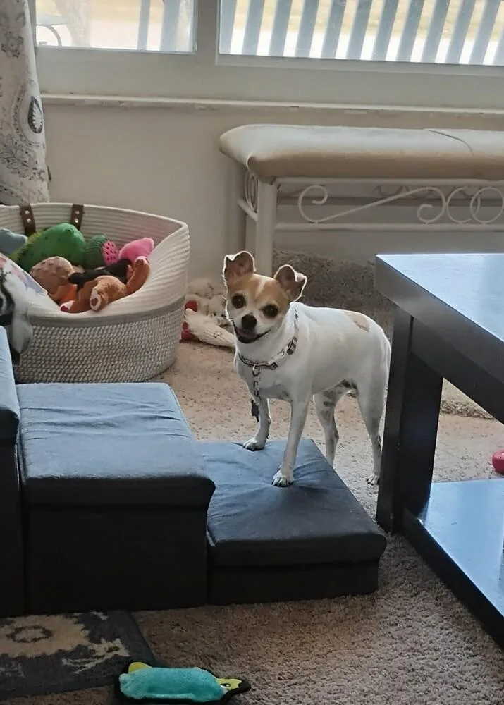 Molly thumbnail 3