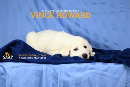 Vince Howard