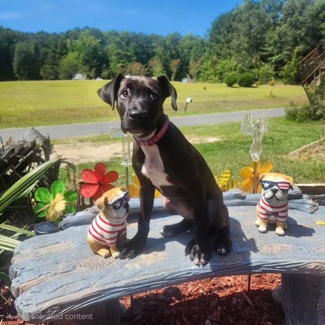 Princess Olivia thumbnail 3