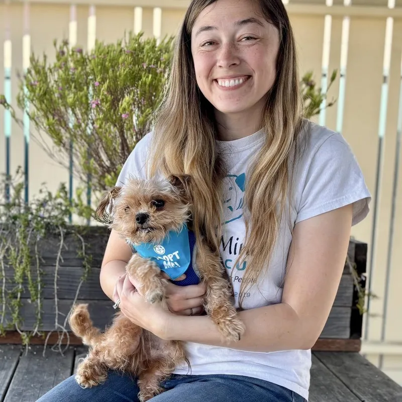 Caterpillar thumbnail 3