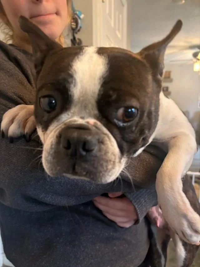 Annie In Mo thumbnail 2