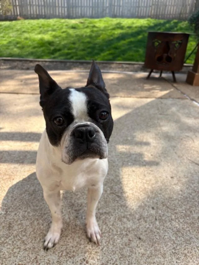 Annie In Mo thumbnail 3