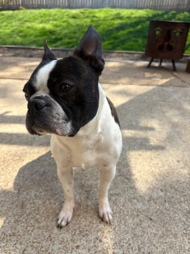 Annie In Mo thumbnail 4