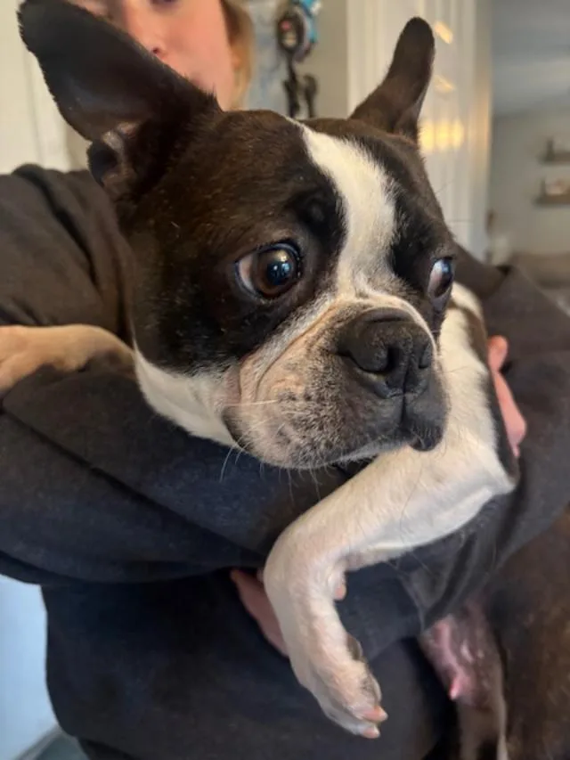 Annie In Mo thumbnail 5