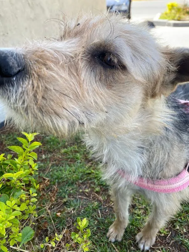 Cindy thumbnail 3