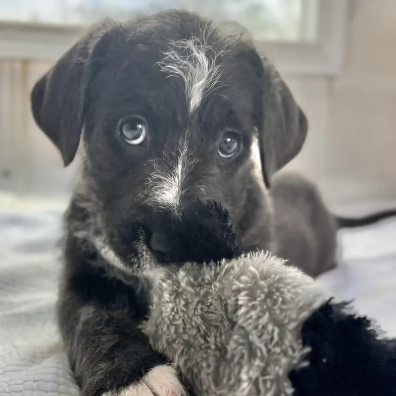 Billie Jean thumbnail 2