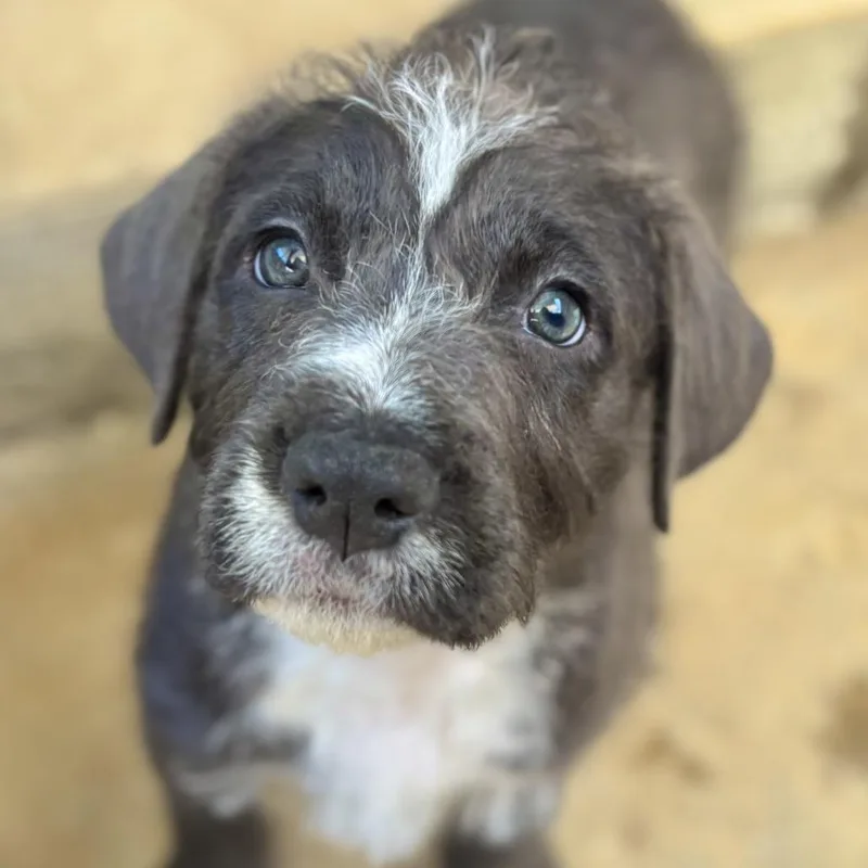 Billie Jean thumbnail 3