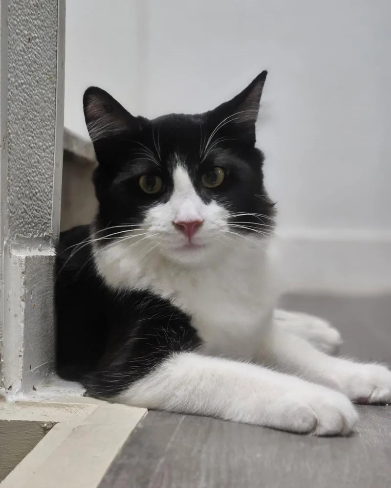 Spongebob thumbnail 2