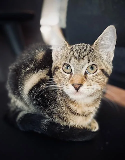 Jordan W Tara thumbnail 2