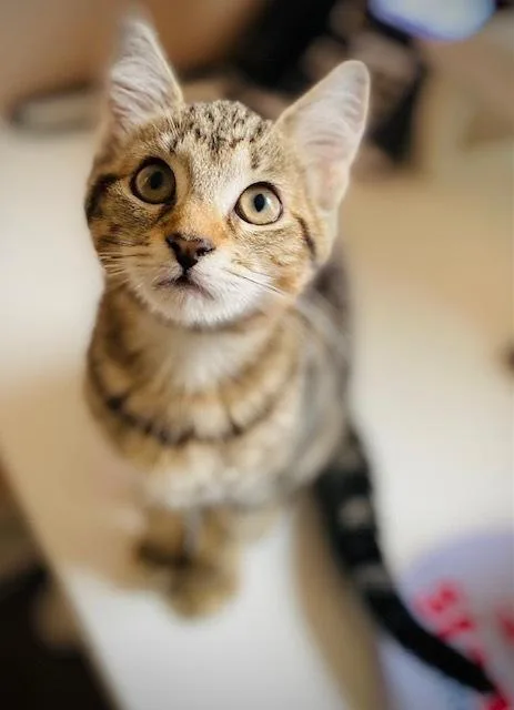 Jordan W Tara thumbnail 5