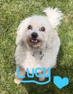 Jack & Lucy thumbnail 5