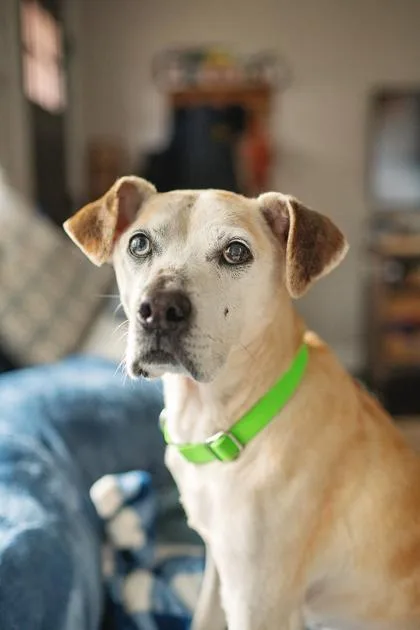 Freckles thumbnail 2