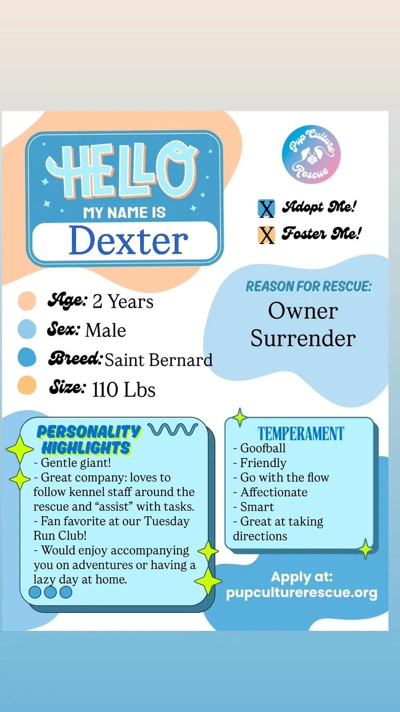 Dexter thumbnail 4