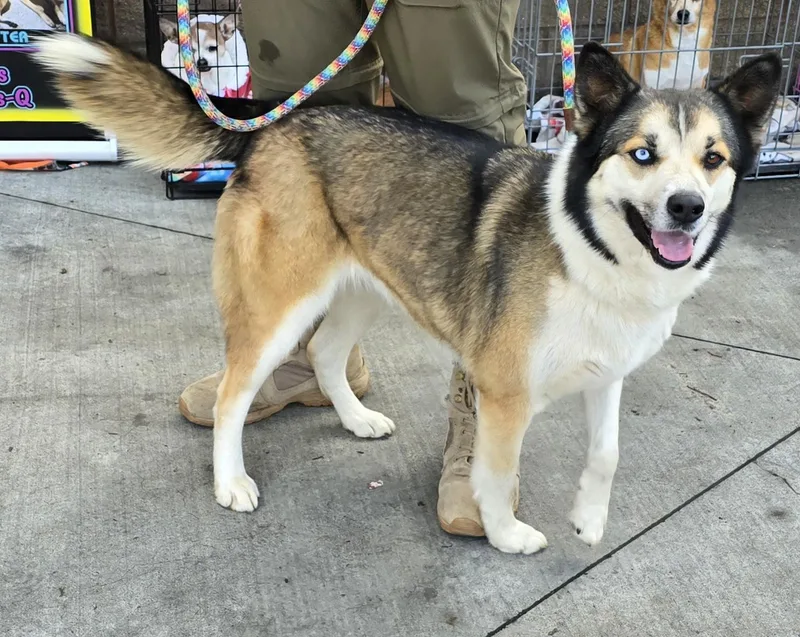 Viktoria thumbnail 3