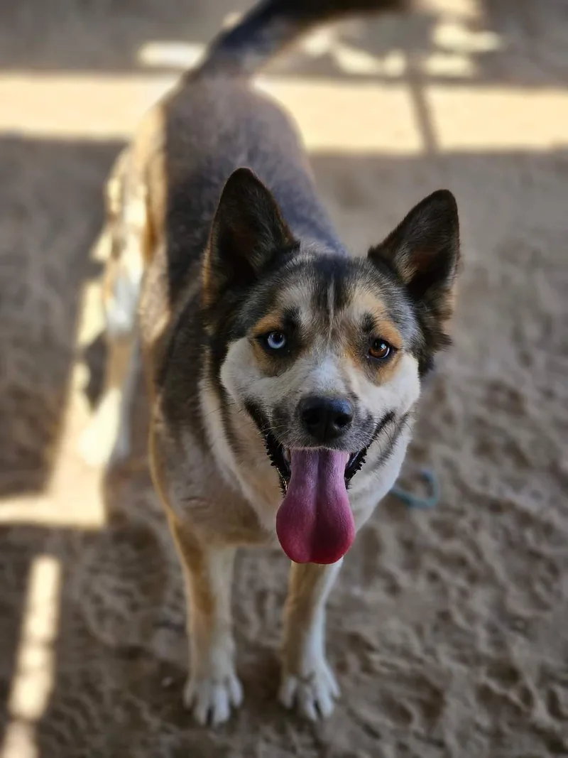 Viktoria thumbnail 5