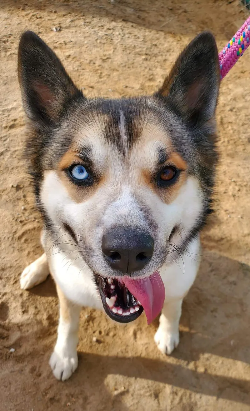 Viktoria thumbnail 6