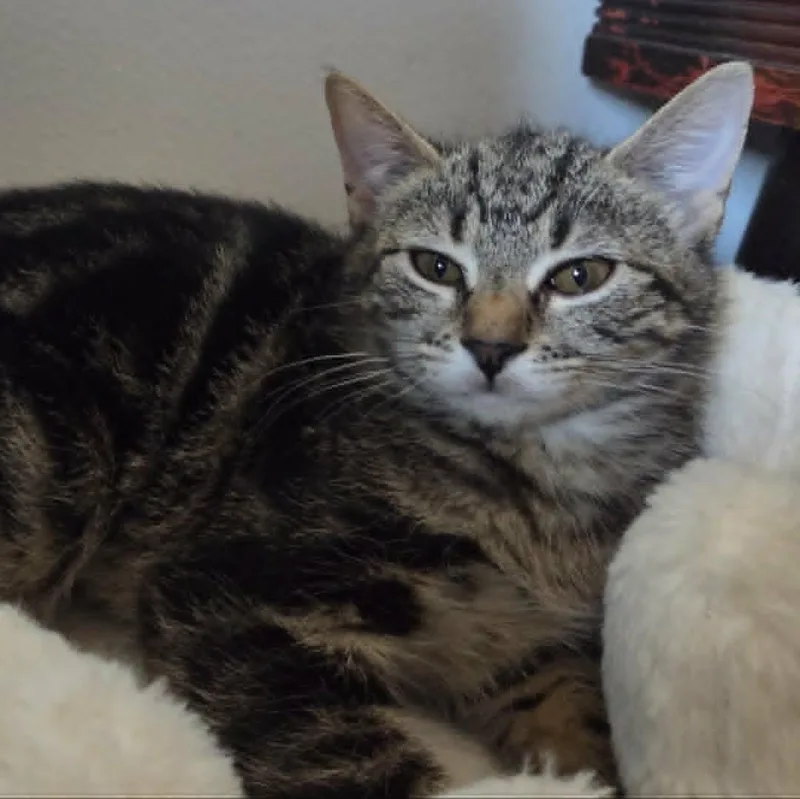 Jonesy thumbnail 2
