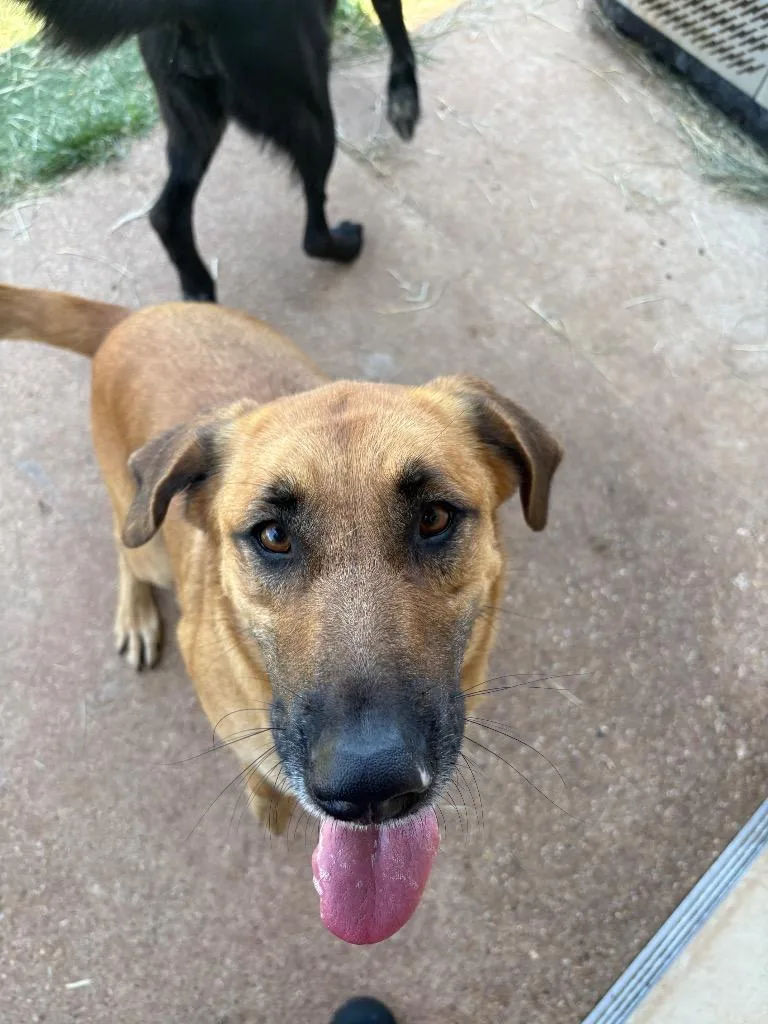 Luna