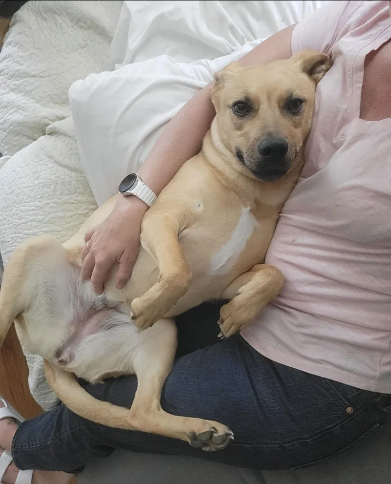 Layne Louise thumbnail 2