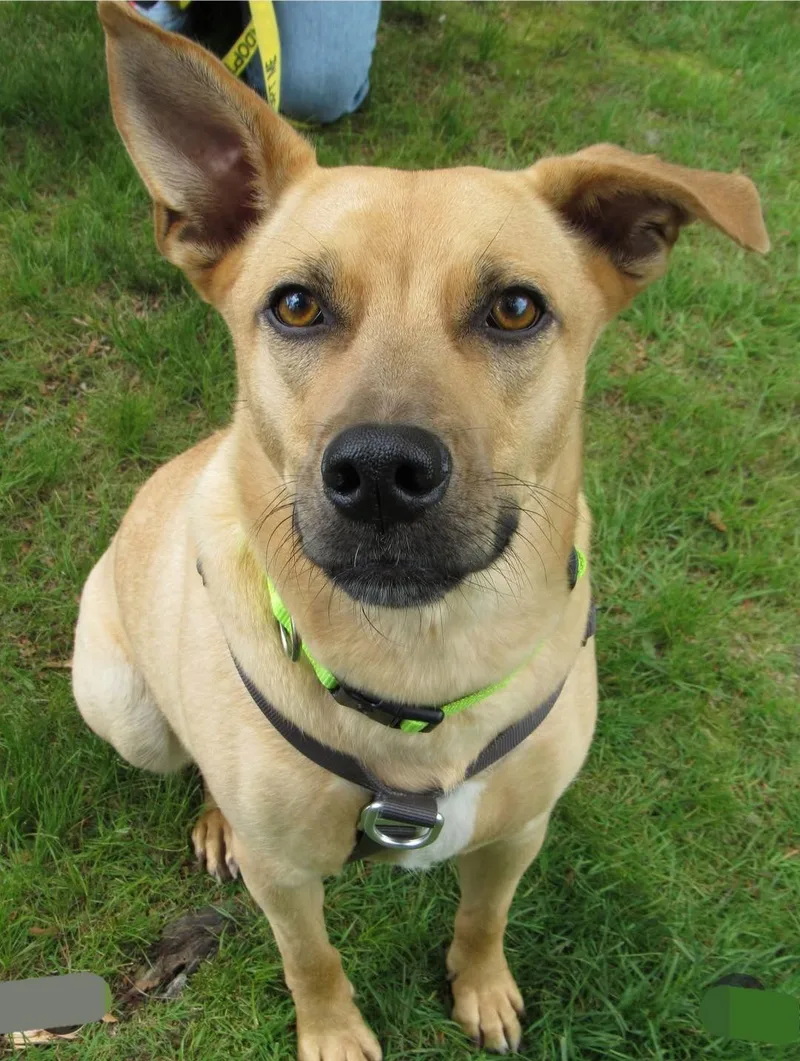 Layne Louise thumbnail 3