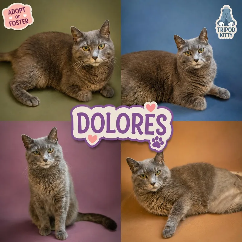 Dolores: tripod   thumbnail 3