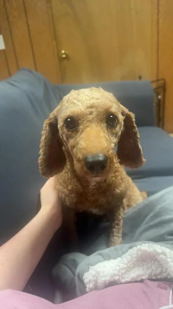 Reba thumbnail 5