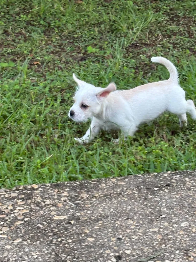 Casper