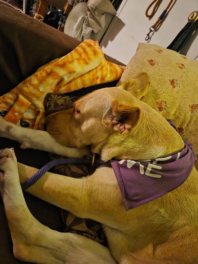 Cleopatra thumbnail 2