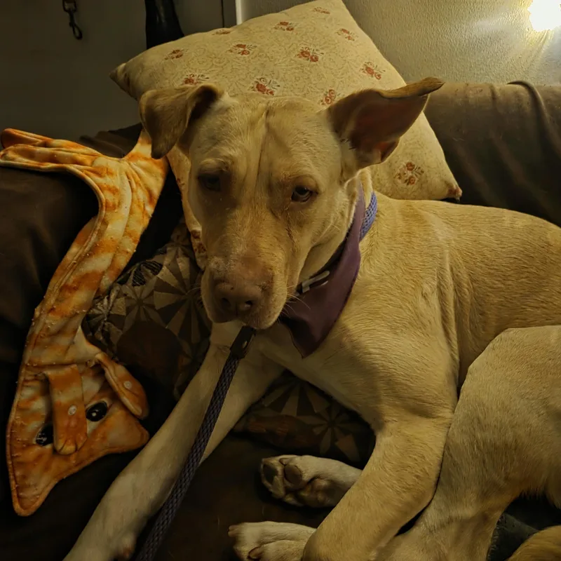 Cleopatra thumbnail 3