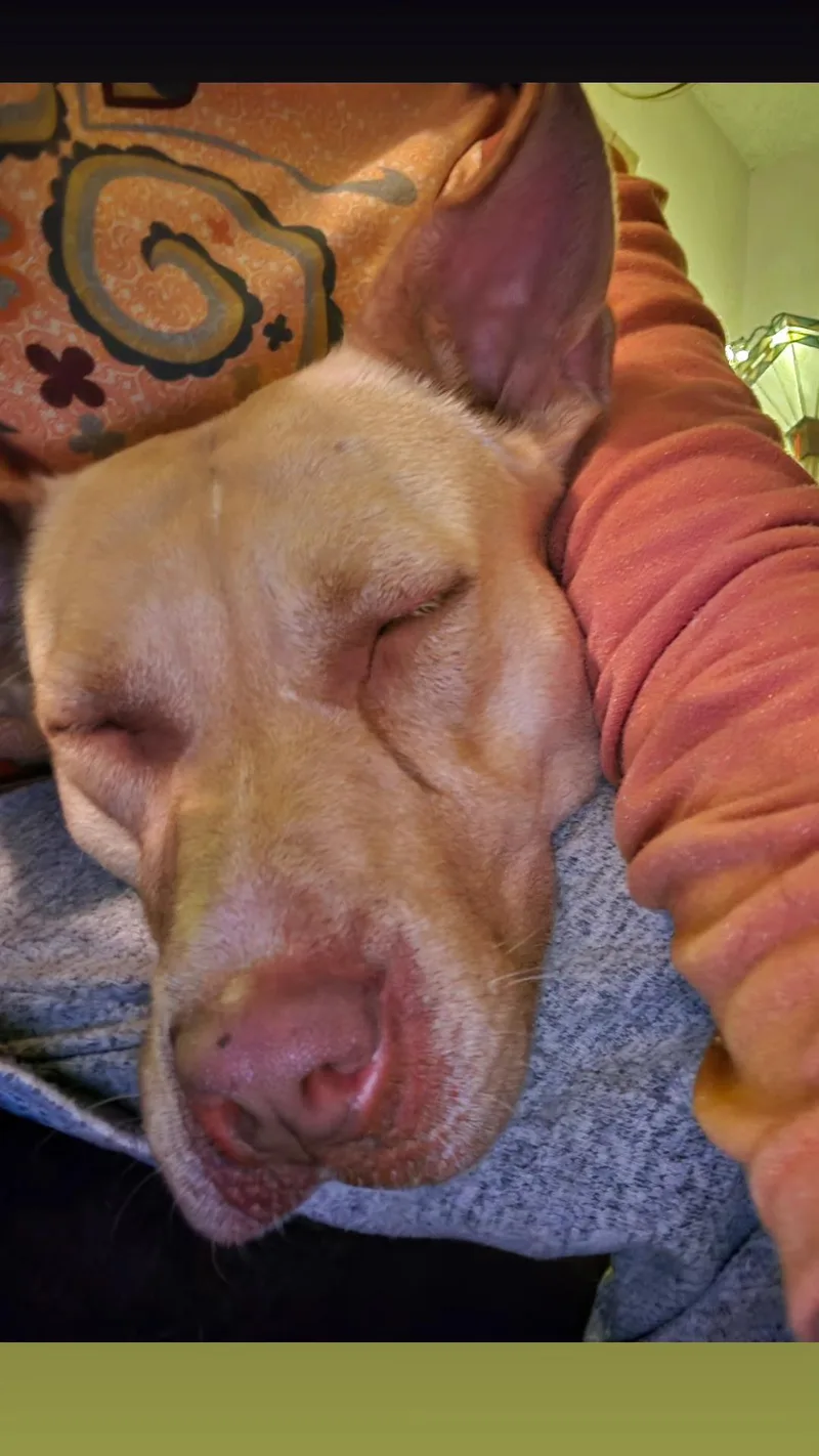 Cleopatra thumbnail 4