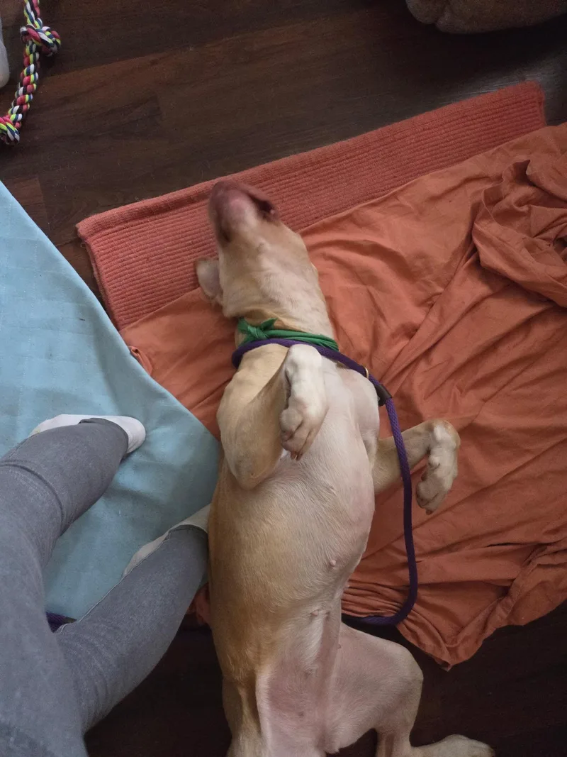 Cleopatra thumbnail 5