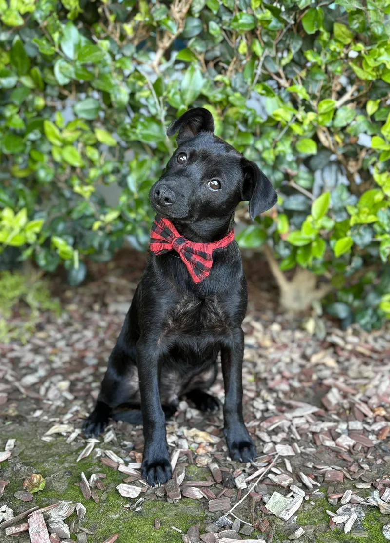 Ricky Martin thumbnail 2