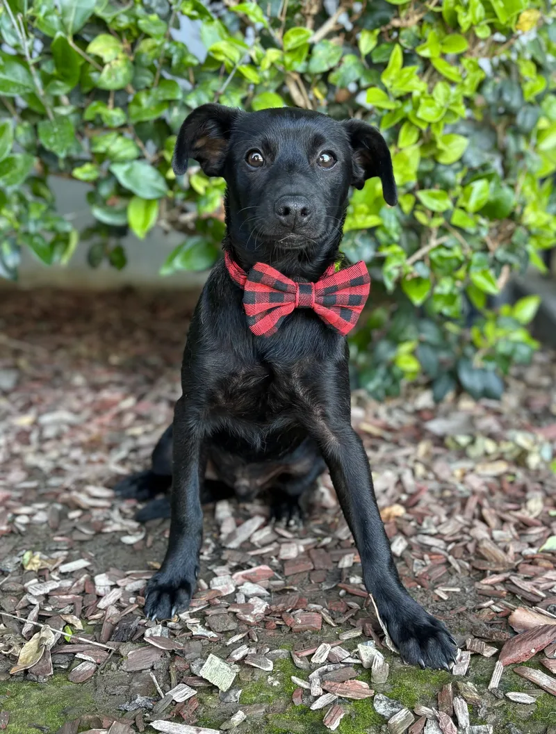 Ricky Martin thumbnail 3