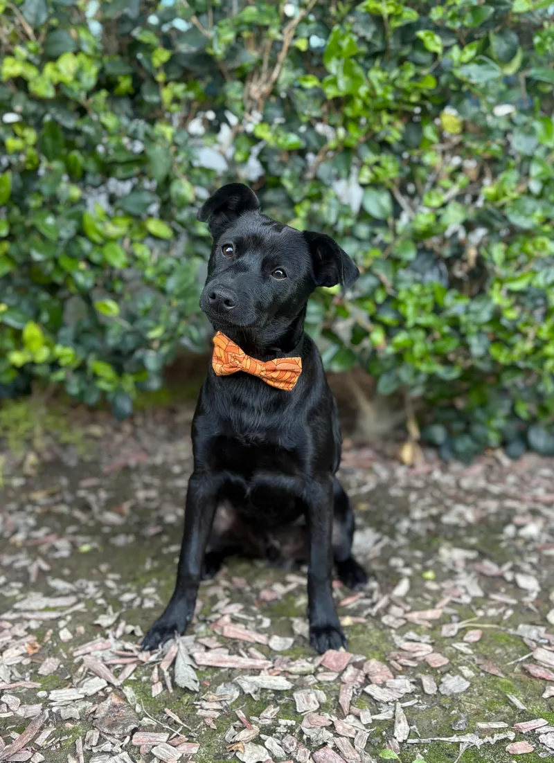 Ricky Martin thumbnail 4