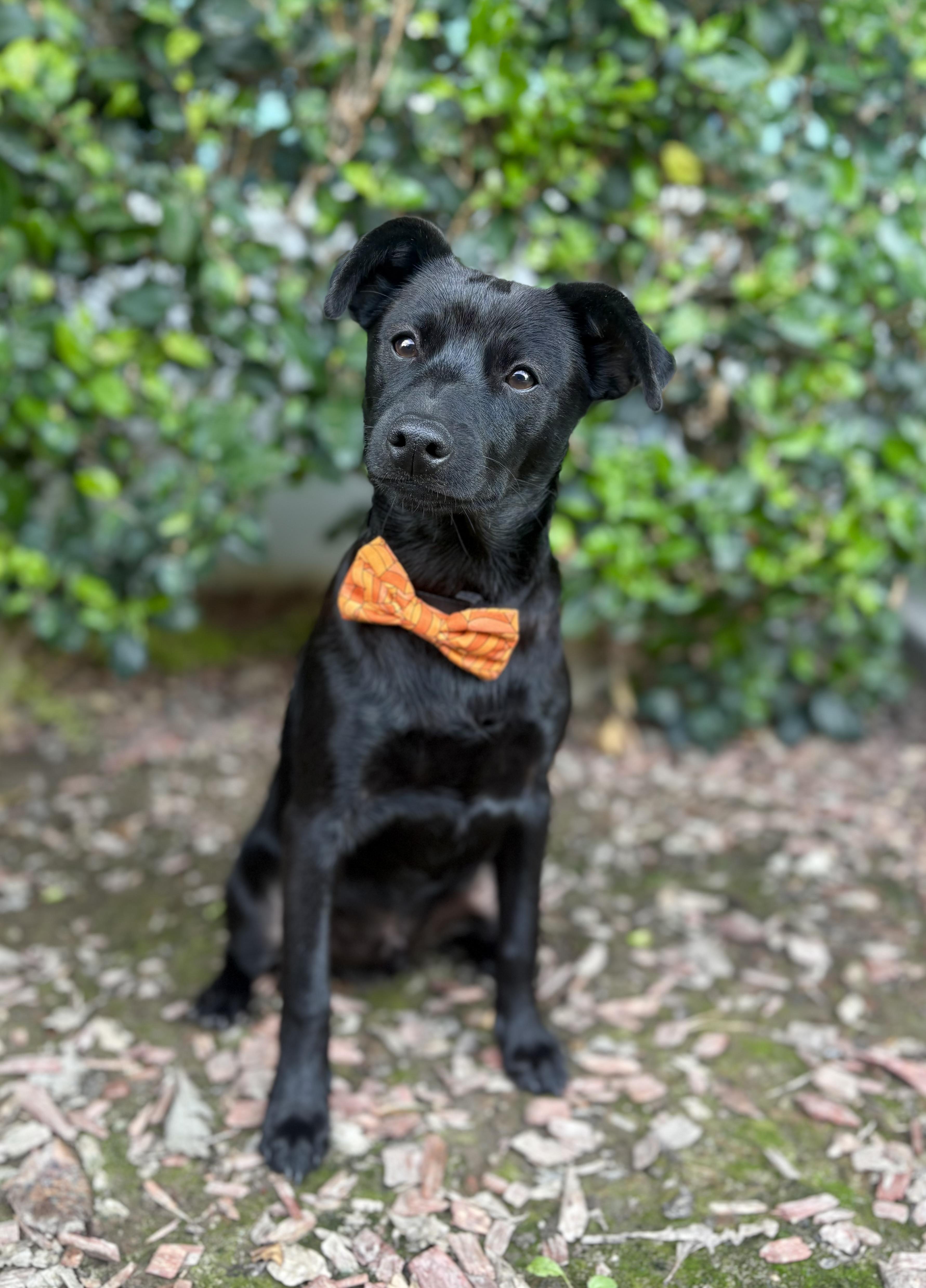 Ricky Martin thumbnail 5