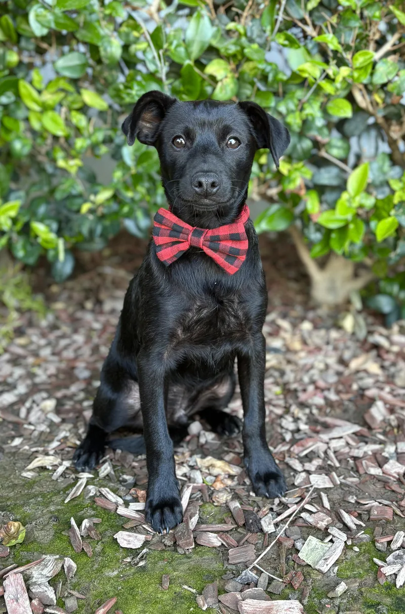 Ricky Martin thumbnail 6