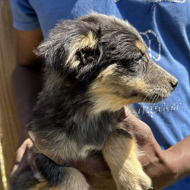 Tidbit  Local April thumbnail 2