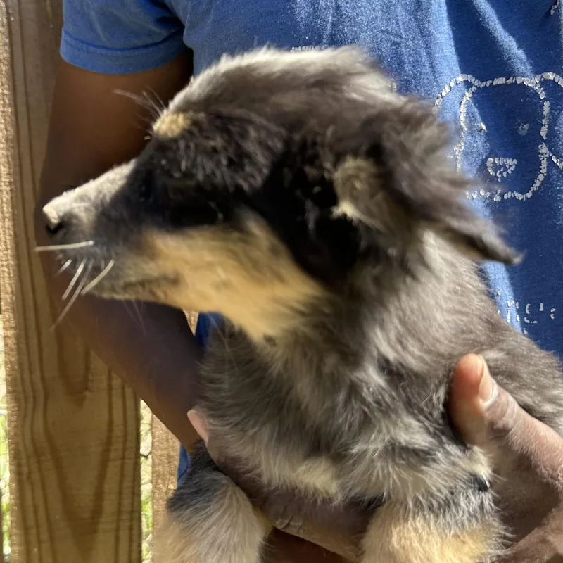 Tidbit  Local April thumbnail 4