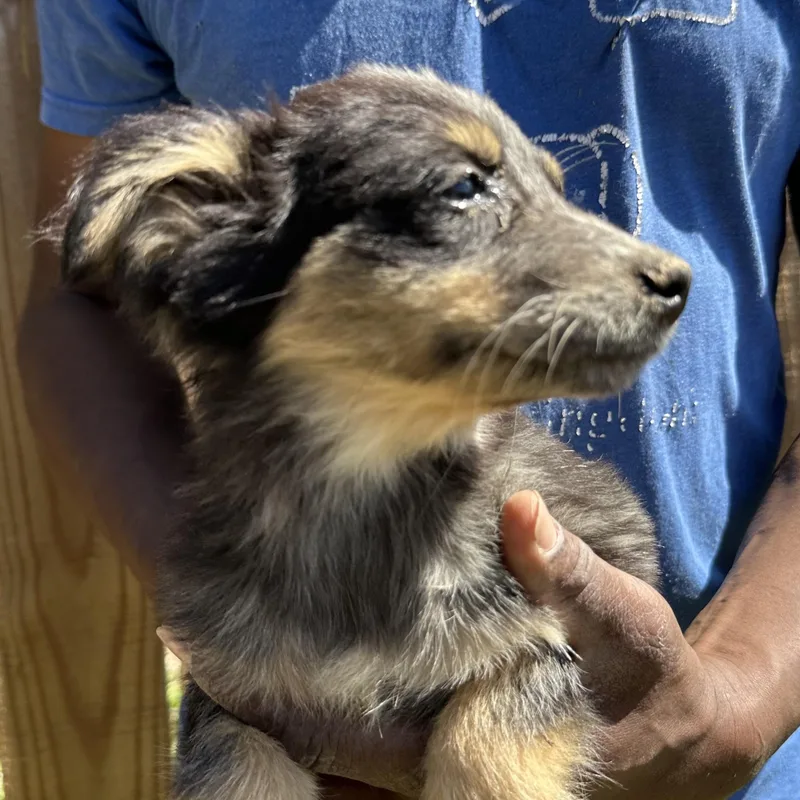 Tidbit  Local April thumbnail 5