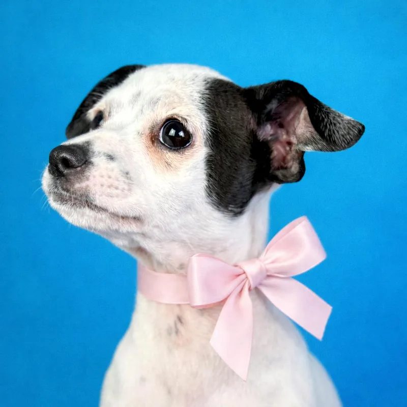 Crystal  My Mom thumbnail 2