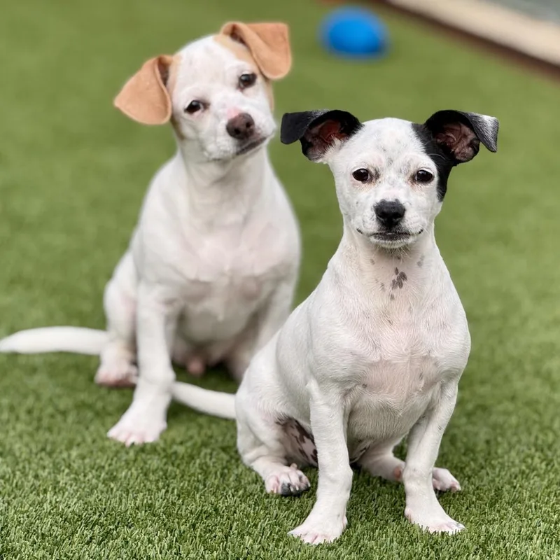 Crystal  My Mom thumbnail 3