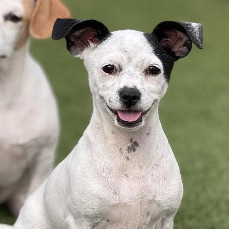 Crystal  My Mom thumbnail 4