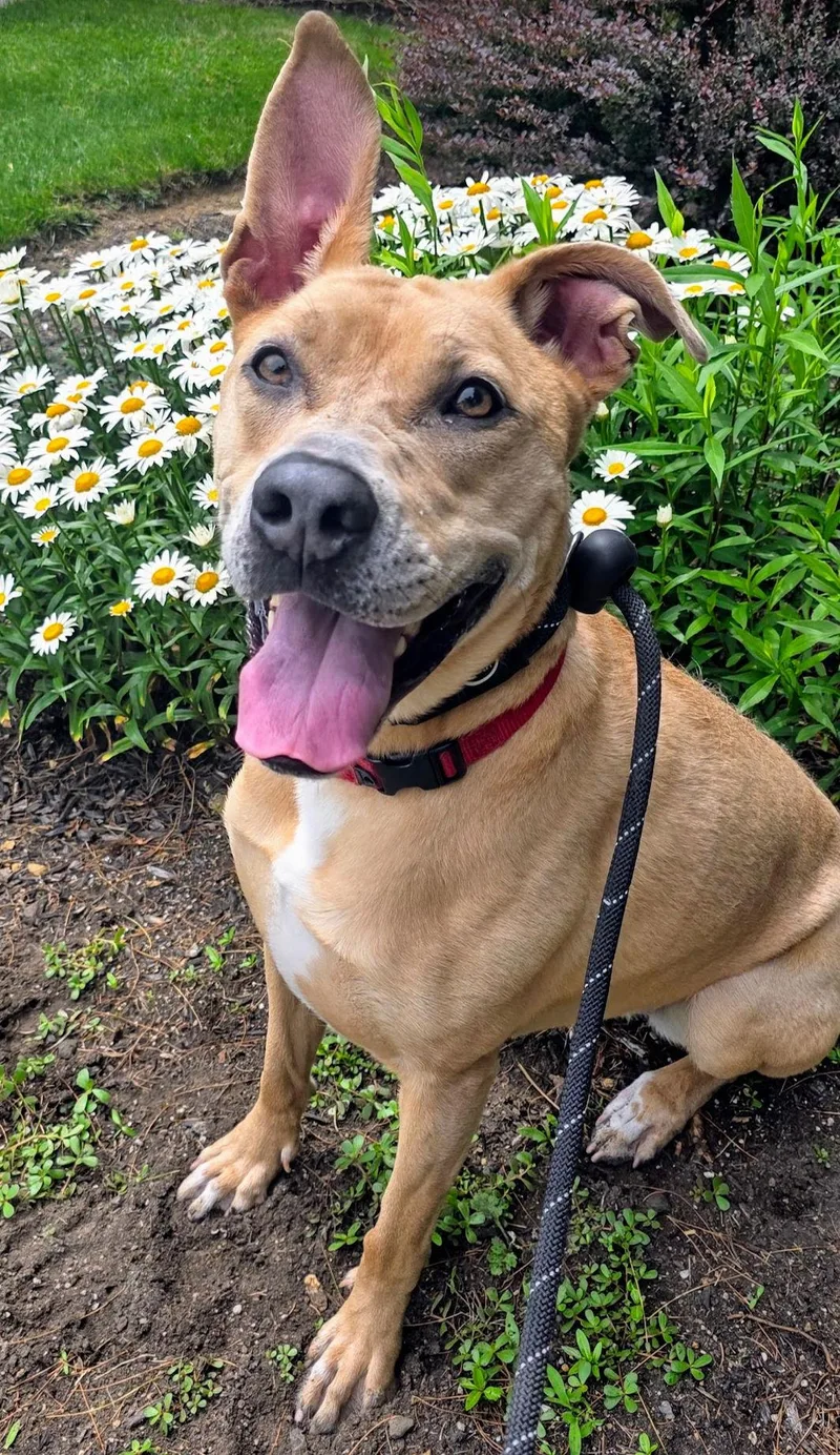 Kiya Lizman thumbnail 2